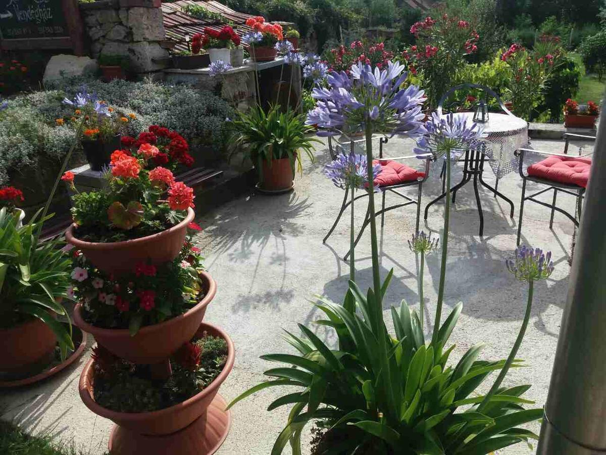 Sator-Hegy Vendeghaz Hotel Abaújszántó Екстериор снимка