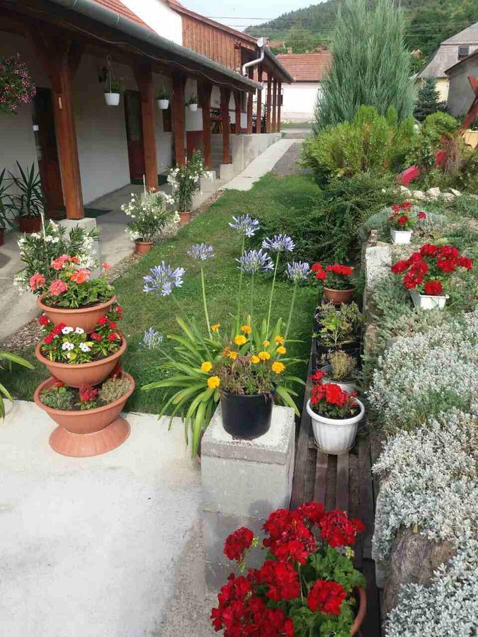 Sator-Hegy Vendeghaz Hotel Abaújszántó Екстериор снимка